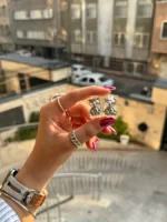 محافظ آداپتور 20 وات کرومی (5تکه) (کدa0177) - تصویر 4