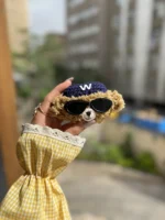 کاور ایرپاد پشمی خرسی‌ عینکی W (کدa0243) - تصویر 4